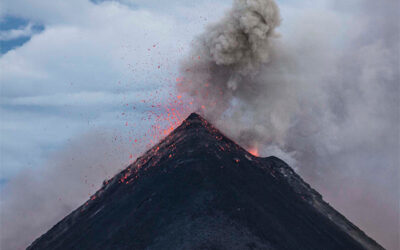 Geef dat stemmetje een stem